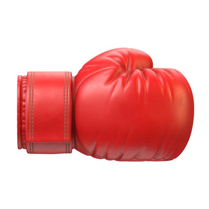 Pro Impact Boxing Gloves – Training & Sparring Edition