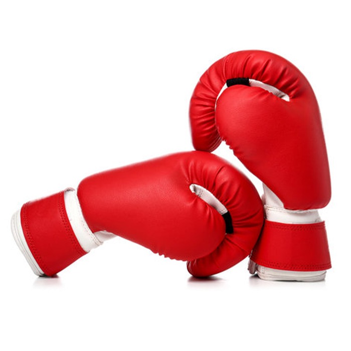 FlexFit Boxing Gloves – Beginner Friendly Comfort