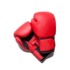 PowerPunch Boxing Gloves – Heavy Hitter Series