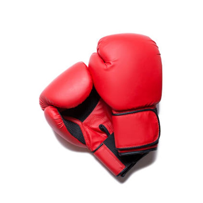 PowerPunch Boxing Gloves – Heavy Hitter Series