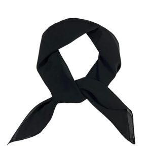 Black Kung Fu Sash – Master Level Prestige Edition