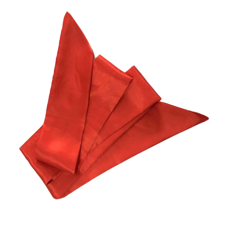 Red Kung Fu Sash – Strength & Spirit Edition