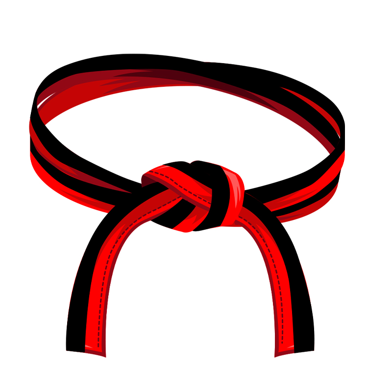 Red & Black Karate Belt – Dual Power Edition