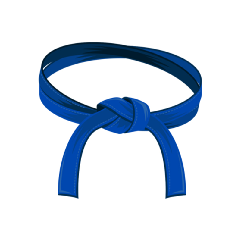 Blue Karate Belt – Strength & Progress