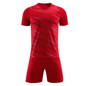 MMA Training Shorts – Stretch Fabric