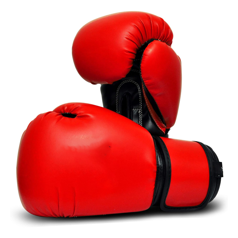 BlitzForce Hook & Loop Boxing Gloves
