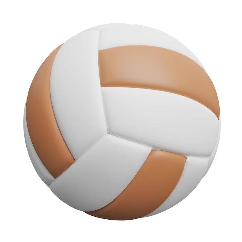 Official Size & Weight Volleyball for Tournaments
